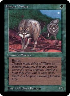 (LEA-RG)Timber Wolves/森林狼