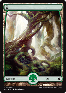 (BFZ-CL)Forest/森【No.270】