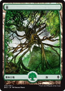 (BFZ-CL)Forest/森【No.273】