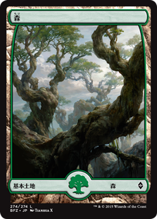 (BFZ-CL)Forest/森【No.274】