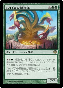 (JOU-RG)Hydra Broodmaster/ハイドラの繁殖主