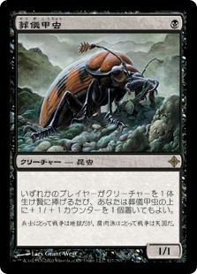 【Foil】(ROE-RB)Mortician Beetle/葬儀甲虫