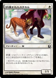 【Foil】(RTR-CW)Trained Caracal/訓練されたカラカル