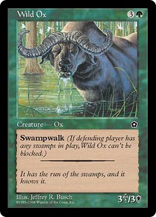 (PO2-UG)Wild Ox/野生の雄牛
