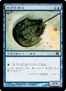 (10E-CU)Horseshoe Crab/カブトガニ