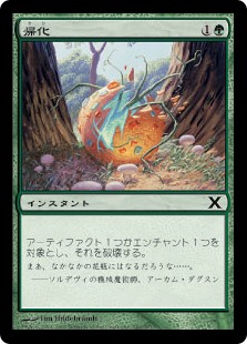 【Foil】(10E-CG)Naturalize/帰化