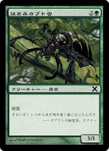 【Foil】(10E-CG)Pincher Beetles/はさみカブト虫