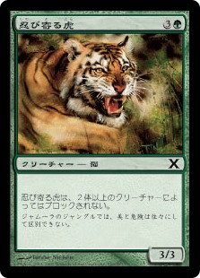 (10E-CG)Stalking Tiger/忍び寄る虎