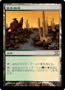 【Foil】(10E-RL)Brushland/低木林地