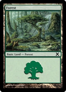 【Foil】(10E-CL)Forest/森【No.382】