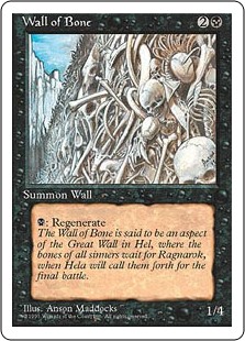 (4ED-UB)Wall of Bone/骨の壁