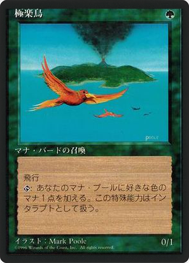 (4ED-RG-FBB)Birds of Paradise/極楽鳥