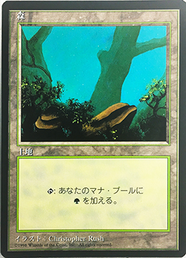(4ED-CL-FBB)Forest/森 (A)