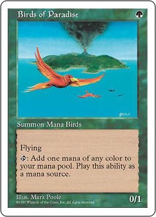 (5ED-RG)Birds of Paradise/極楽鳥