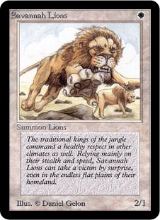 (LEA-RW)Savannah Lions/サバンナ・ライオン