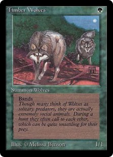 (LEB-RG)Timber Wolves/森林狼