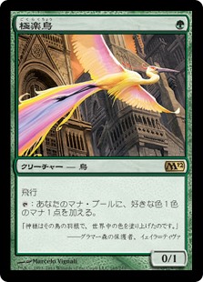 (M12-RG)Birds of Paradise/極楽鳥