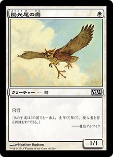【Foil】(M14-CW)Suntail Hawk/陽光尾の鷹