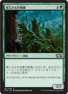 (M15-CG)Invasive Species/侵入する生物種