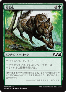 (M19-CG)Oakenform/樫変化