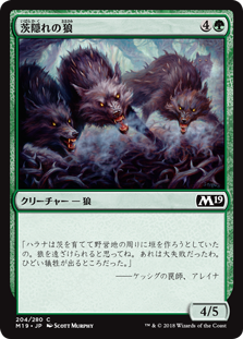 【Foil】(M19-CG)Thornhide Wolves/茨隠れの狼
