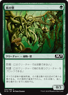 (M19-CG)Wall of Vines/蔦の壁