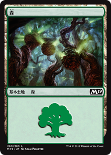 (M19-CL)Forest/森【No.280】