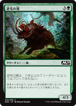 (M20-CG)Bristling Boar/逆毛の猪