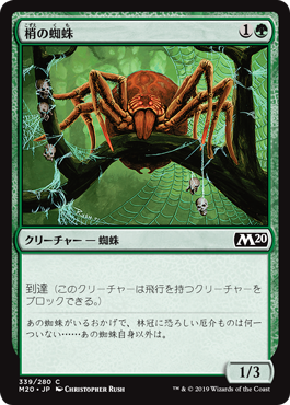 (M20-CG)Canopy Spider/梢の蜘蛛