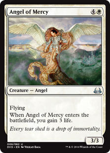 (DD3_DVD-UW)Angel of Mercy/慈悲の天使