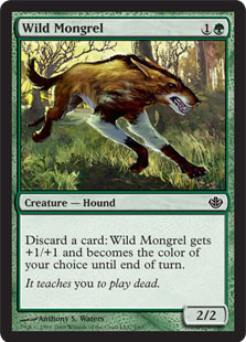 (DDD-CG)Wild Mongrel/野生の雑種犬