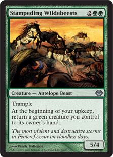 (DDD-UG)Stampeding Wildebeests/暴走するヌー