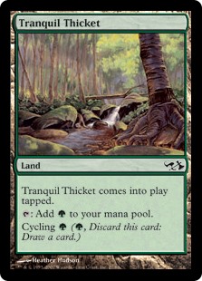 (EVG-CL)Tranquil Thicket/平穏な茂み