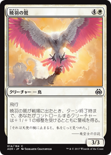 【Foil】(AER-CW)Dawnfeather Eagle/暁羽の鷲