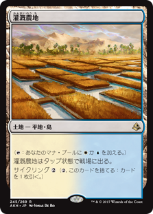 【Foil】(AKH-RL)Irrigated Farmland/灌漑農地