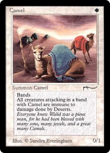 (ARN-CW)Camel