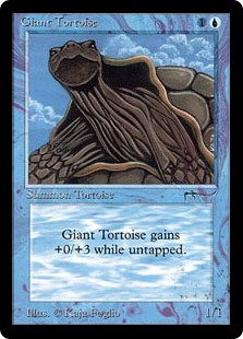 (ARN-CU)Giant Tortoise/象亀