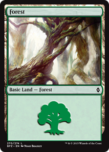 (BFZ-CL)Forest/森【No.270, Regular Art】