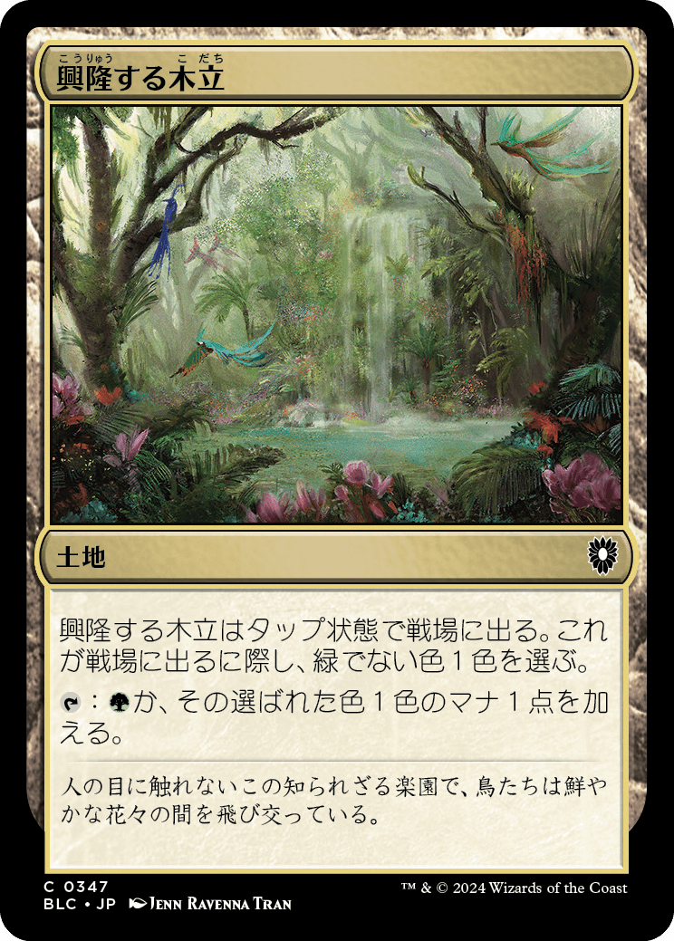 MTG, マジック:ザ・ギャザリング 通販 | ENNDAL GAMES / (BLC-CL