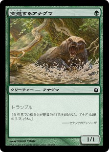 【Foil】(BNG-CG)Charging Badger/突進するアナグマ