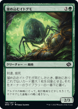 【Foil】(BRO-CG)Hoarding Recluse/溜め込むイトグモ