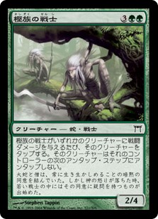 【Foil】(CHK-CG)Kashi-Tribe Warriors/樫族の戦士