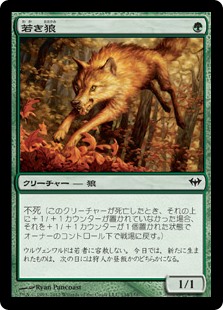 【Foil】(DKA-CG)Young Wolf/若き狼