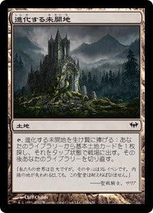 (DKA-CL)Evolving Wilds/進化する未開地