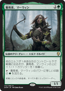 【Foil】(DOM-RG)Marwyn, the Nurturer/養育者、マーウィン