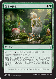 (DOM-CG)Saproling Migration/苗木の移牧