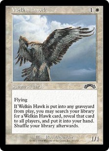 (EXO-CW)Welkin Hawk/天空の鷹