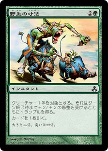 【Foil】(GPT-CG)Wildsize/野生の寸法