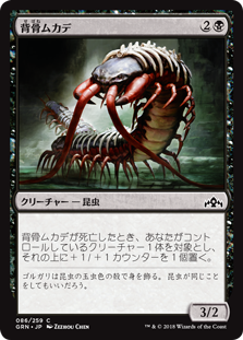 (GRN-CB)Spinal Centipede/背骨ムカデ