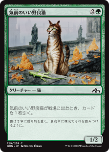 (GRN-CG)Generous Stray/気前のいい野良猫